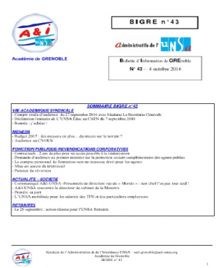 BIGRE N°43 BIGRE N°43