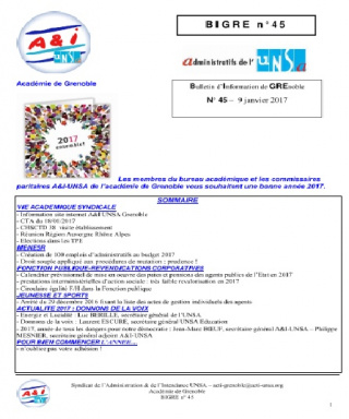 BIGRE N°45 BIGRE N°45